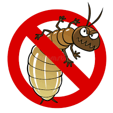 anti termiten hozschutz