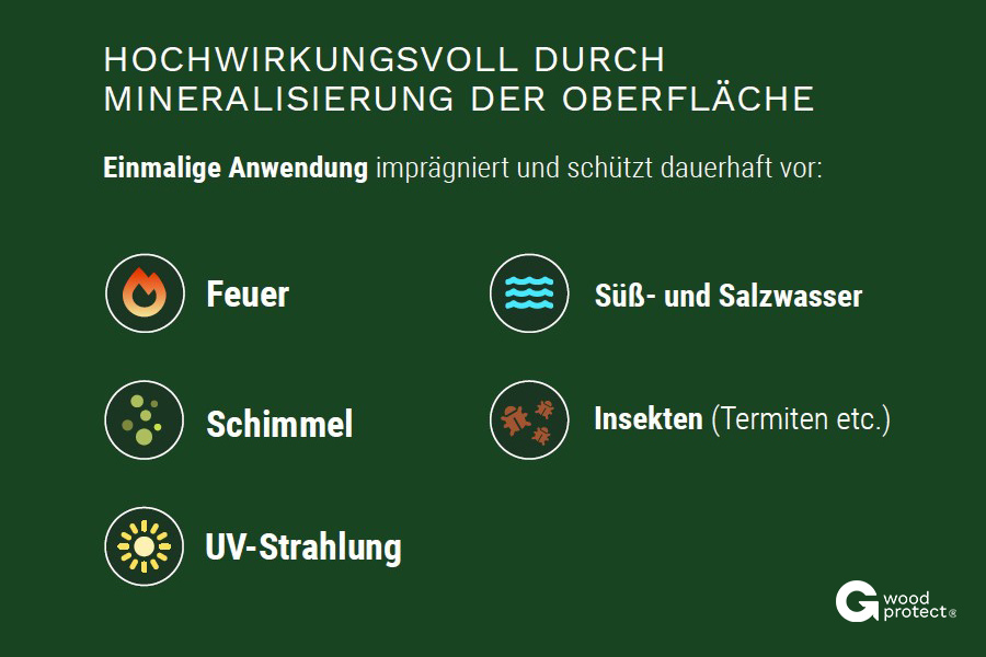 g5-holzschutz-wirkung