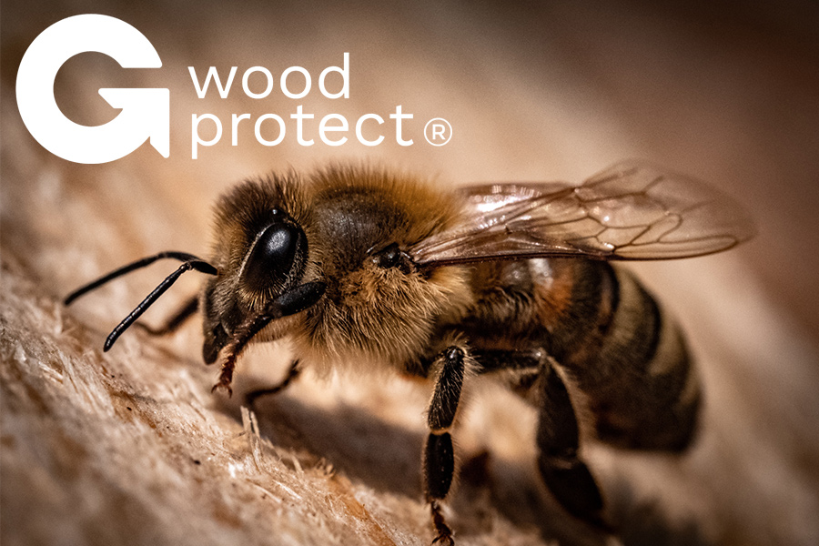 holzschutz bienenfreundlich